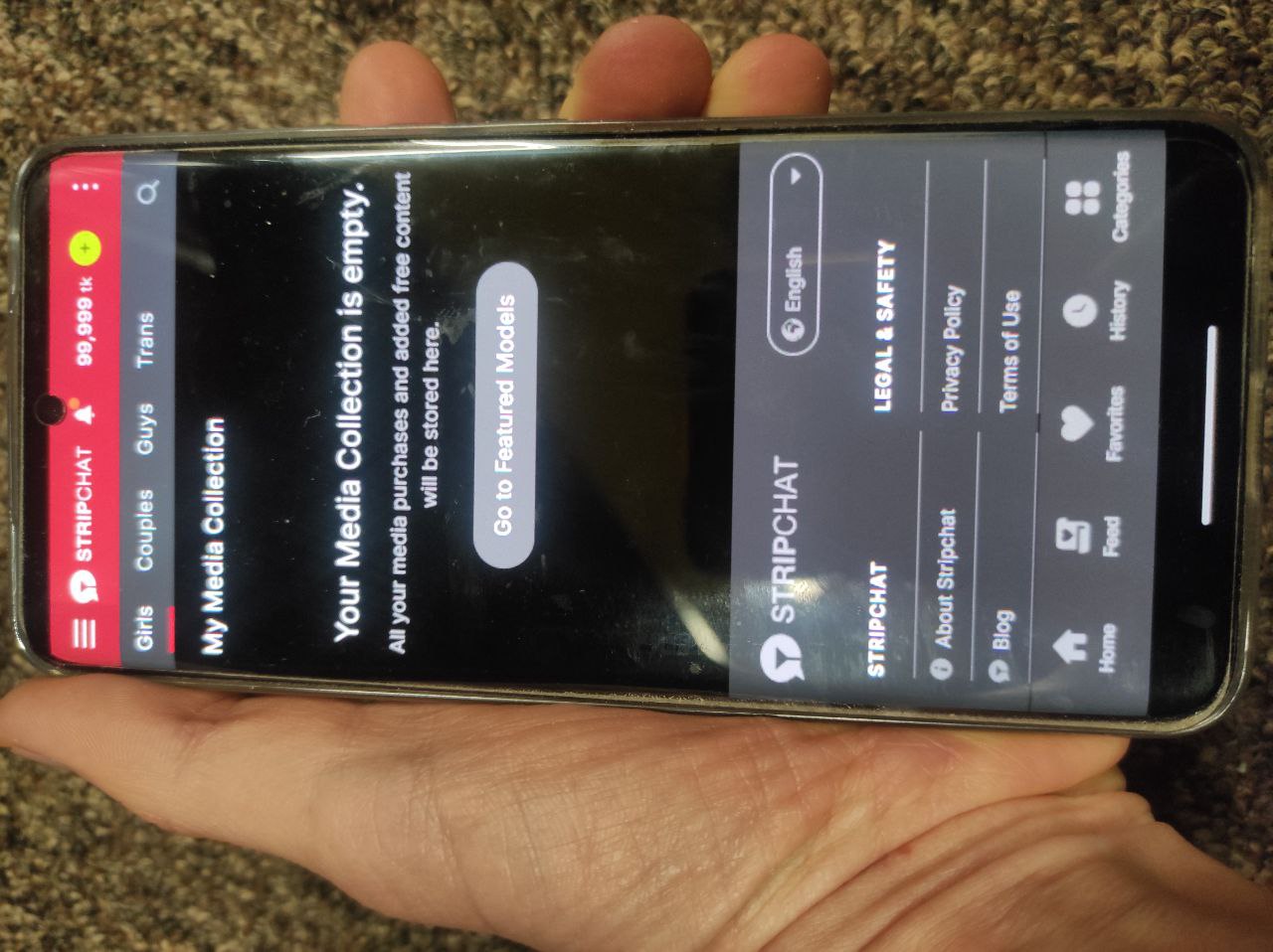 Stripchat Mod Proof
